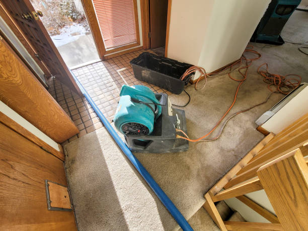 Best Sewage cleanup and water damage restoration  in Garrison, TX