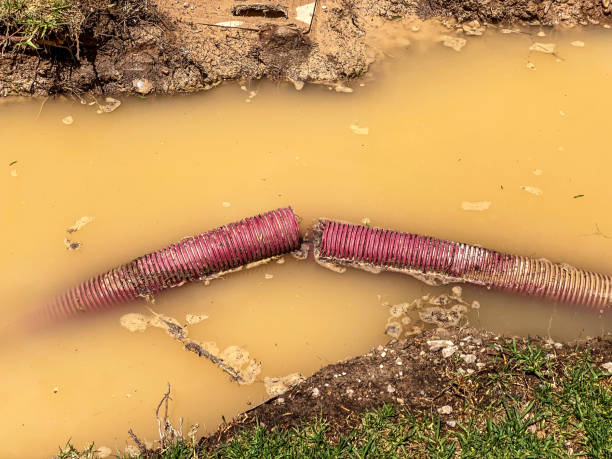 Best Basement water damage restoration  in Garrison, TX